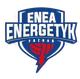 埃尼亚波兹南 Logo