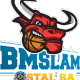 斯拉姆施塔尔 Logo