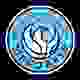尼古拉夫 Logo