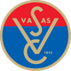华萨斯女篮 Logo
