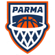 彼尔姆学院女篮 Logo