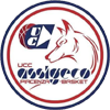 维萨皮亚琴扎 Logo