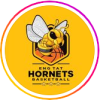 英塔黄蜂 Logo