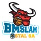 SO维尔科波尔斯基 Logo