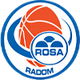拉多姆 Logo