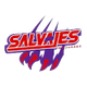 华雷斯萨尔瓦耶斯 Logo