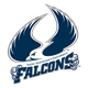 圣奥古斯丁女篮 Logo