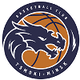 苏杜明斯克 Logo
