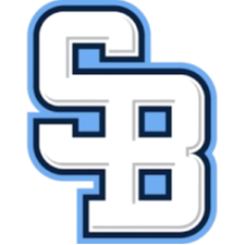 国际布拉蒂斯拉瓦 Logo