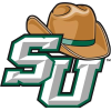 斯泰森大学 Logo