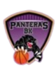 黑豹女篮 Logo