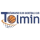 托尔明 Logo