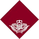 早稻田大学女篮 Logo