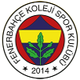 费内巴切SK Logo