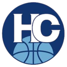 昊骏 Logo
