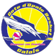 加莱女篮 Logo