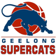 吉隆超级猫 Logo