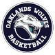 奥克兰狼 Logo