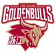 浙江金牛U21 Logo