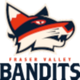 温哥华大盗 Logo
