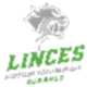圣地亚哥猞猁 Logo