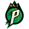 派萨 Logo
