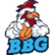 加拉拉特 Logo