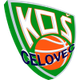 塞洛维茨女篮 Logo