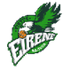 拉古萨女篮 Logo