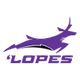 大峡谷女篮 Logo
