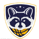 古埃西欧女篮U23 Logo