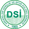 安卡拉DSI Logo