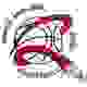 北阿德莱德火箭 Logo