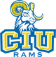 哥伦比亚国际大学 Logo