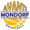 阿凡蒂蒙多夫 Logo