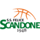 斯堪的纳阿维利诺 Logo