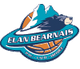 巴奥夫斯U21 Logo