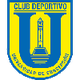 康塞普西翁大学 Logo