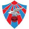 华路亚 Logo