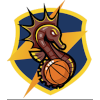 萨勒诺动力 Logo