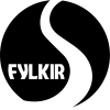 费基尔 Logo