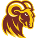 休斯顿蒂洛森大学女篮 Logo
