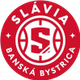 拜斯特里卡女篮 Logo