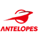 丰田羚羊女篮 Logo