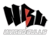 宁波公牛 Logo