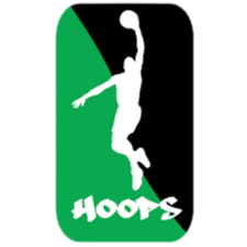 斯维尔斯堡 Logo