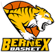 贝内克斯 Logo