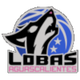 阿瓜斯卡连特斯女篮 Logo