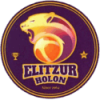 霍隆女篮 Logo