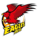 青岛国信海天后备队 Logo